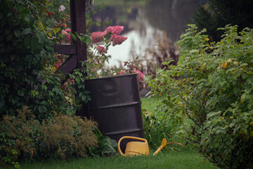 flowers in a garden in Russia