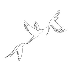 Obraz premium vector illustration of a dove , bird flying beauty for tatto temporary or permanent