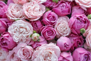 Fototapeta premium A dense overhead view of beautiful pink and light pink roses in full bloom. Concept of romantic floral abundance.