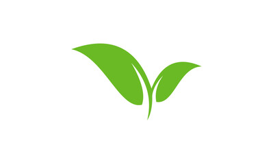 Green Leaves Symbolizing Growth and Nature.