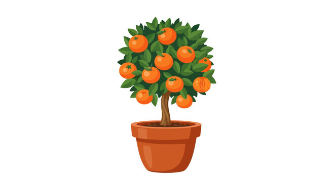 Small potted orange tree with ripe fruit and green leaves.