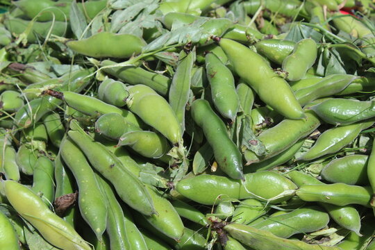 Primer plano de habas verdes frescas en un mercado tradicional.