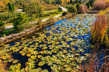 A pond with a lot of lily pads and a path © Iurii Gagarin
