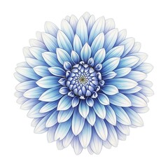 Obraz premium Beautiful Blue Dahlia Flower Isolated on White Background.