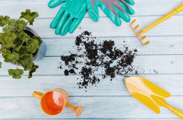 A set of garden tools and flowers lie on a light blue wooden table.