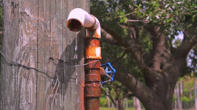 Close-up shot of a rusted farm water pipe slowly dripping water from a white elbow joint, mounted to a wooden post with trees softly blurred in the background.