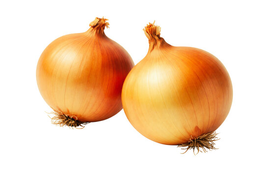 photograph of two whole raw yellow onions with their papery skins and dry stems, perfect for adding flavor to any savory dish or meal.