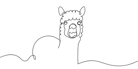 Continuous line drawing of an alpaca's head. single line vector illustration Editable stroke. © Proongnee
