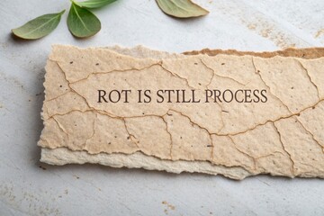 Dehydrated Organic Material With Textured Surface