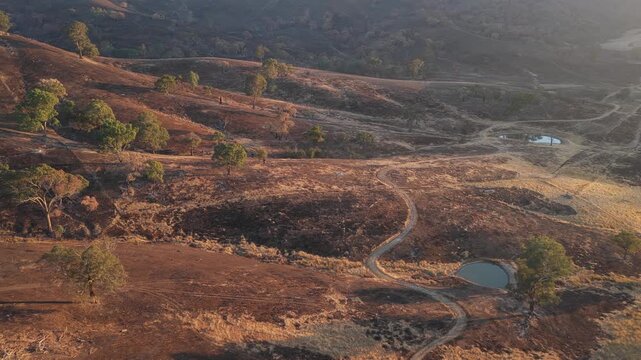 Bushfire wildfire burnt landscape in Australia victorian high country