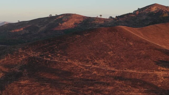 Bushfire wildfire burnt landscape in Australia victorian high country