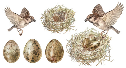 Obraz premium Watercolor Easter set with nest and egg and sparrow isolated on white background. Bird house made of twigs and branches. Spring or summer decor for celebration. Mother's day. Clipart for wallpaper