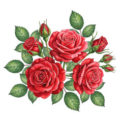 Vibrant red roses bouquet with green leaves isolated on transparent background