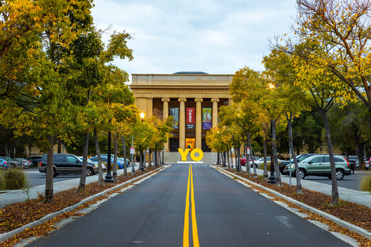 Iris and Gerald Cantor Center for Visual Arts