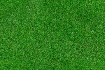 Grass – seamless aerial top view texture of green sports field grass pitch. Background for golf, soccer, football or rugby turf. © Lawrey