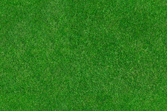 Grass &ndash; seamless aerial top view texture of green sports field grass pitch. Background for golf, soccer, football or rugby turf.