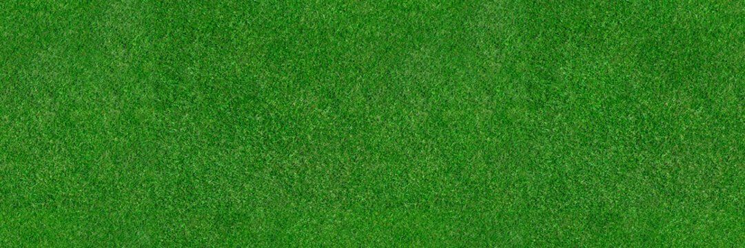 Grass &ndash; seamless aerial top view texture of green sports field grass pitch. Background for golf, soccer, football or rugby turf.