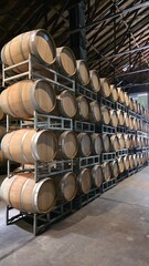 wine barrels in a cellar