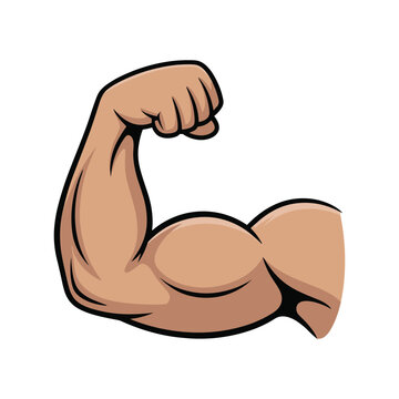 Flexed bicep muscle arm cartoon flexed arm vector illustration isolated on white background.