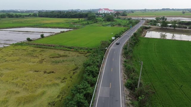 Aerial view of a road, rice fields, and rural nature in Ang Thong, Thailand.