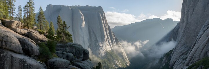 Forest on Granite Ridge