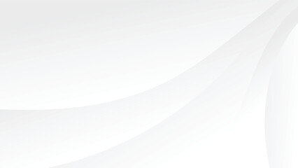 white background with abstract elegant lines decoration  © piggu