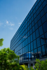 Modern glass office building with big trees around to reduce heat and carbon dioxide. Eco-friendly building. Sustainability concept