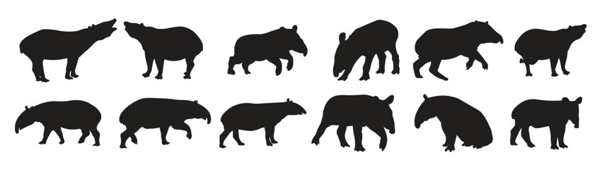 Obraz premium set tapir silhouette vector illustration