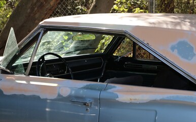 Fototapeta premium Classic car in green surrounding