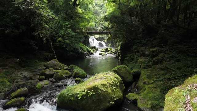 Drone aerial view of Kikuchi Gorge forest stream in Kumamoto Japan