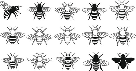 Bee silhouettes in varied wing patterns, insect vector illustration, decorative nature design, wildlife art motif, educational puzzle concept © Hamida