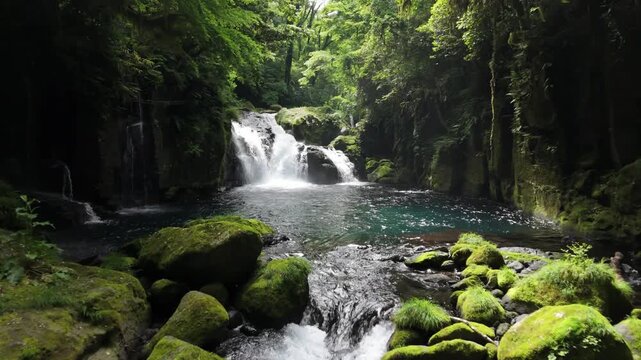 Drone aerial view of Kikuchi Gorge forest stream in Kumamoto Japan