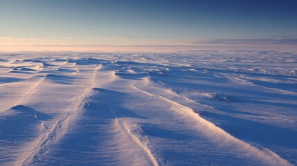 Frozen tundra plains at twilight, with delicate snowdrift patterns and long, soft shadows, minimalist Arctic landscape
