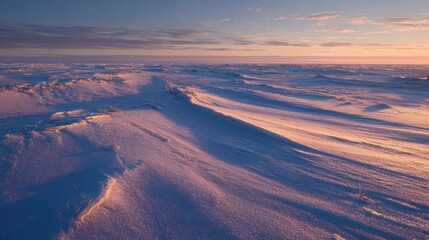 Frozen tundra plains at twilight, with delicate snowdrift patterns and long, soft shadows, minimalist Arctic landscape
