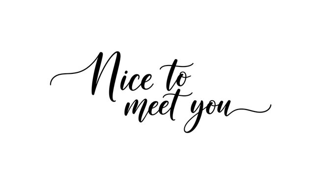 Elegant Nice to Meet You greeting in modern calligraphy