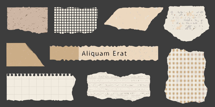 Collection of torn paper pieces with varied textures and patterns