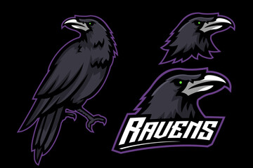 Obraz premium Aggressive Crow Raven Vector Illustration For Sports Branding