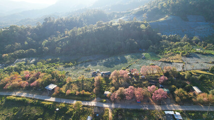 Fototapeta premium Aerial view of the rural village with agriculture fields and mountain road by drone