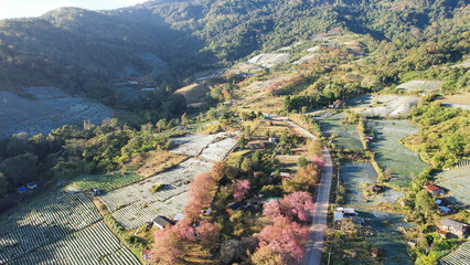Fototapeta premium Aerial view of the rural village with agriculture fields and mountain road by drone