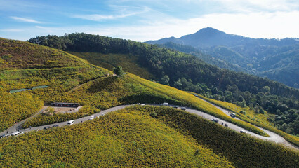 Fototapeta premium Aerial view of a mountain road along the Mexican sunflower field in Mae Hong Son, Thailand