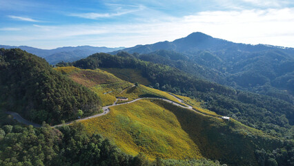 Fototapeta premium Aerial view of a mountain road along the Mexican sunflower field in Mae Hong Son, Thailand
