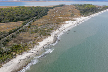 driftwood along the beach