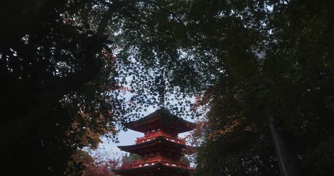 Beautiful autumn trees surrounding tall, ancient, red Japanese tower 