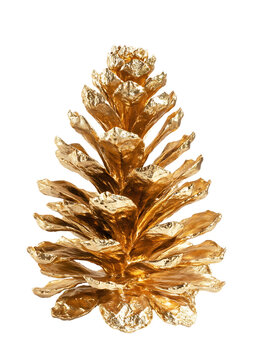Golden pine cone on white background res P N G isolated on a transparent background