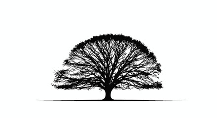 Tree Silhouette Isolated on White Background