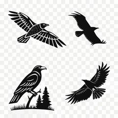 Obraz premium Black silhouettes of birds in different poses Vector