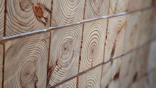 Wooden planks create a rhythmic pattern wall, emphasizing natural texture.