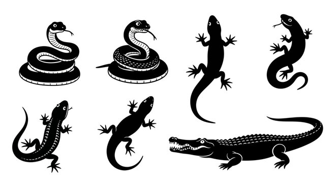 A collection of stylized black silhouettes depicting snakes lizards a gecko and an alligator high quality professional detailed modern