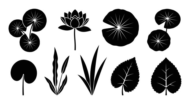 A collection of black silhouettes depicting water lilies lily pads and various aquatic foliage high quality professional detailed modern