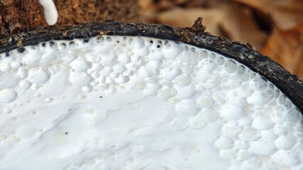 Scrape rubber from rubber, latex.